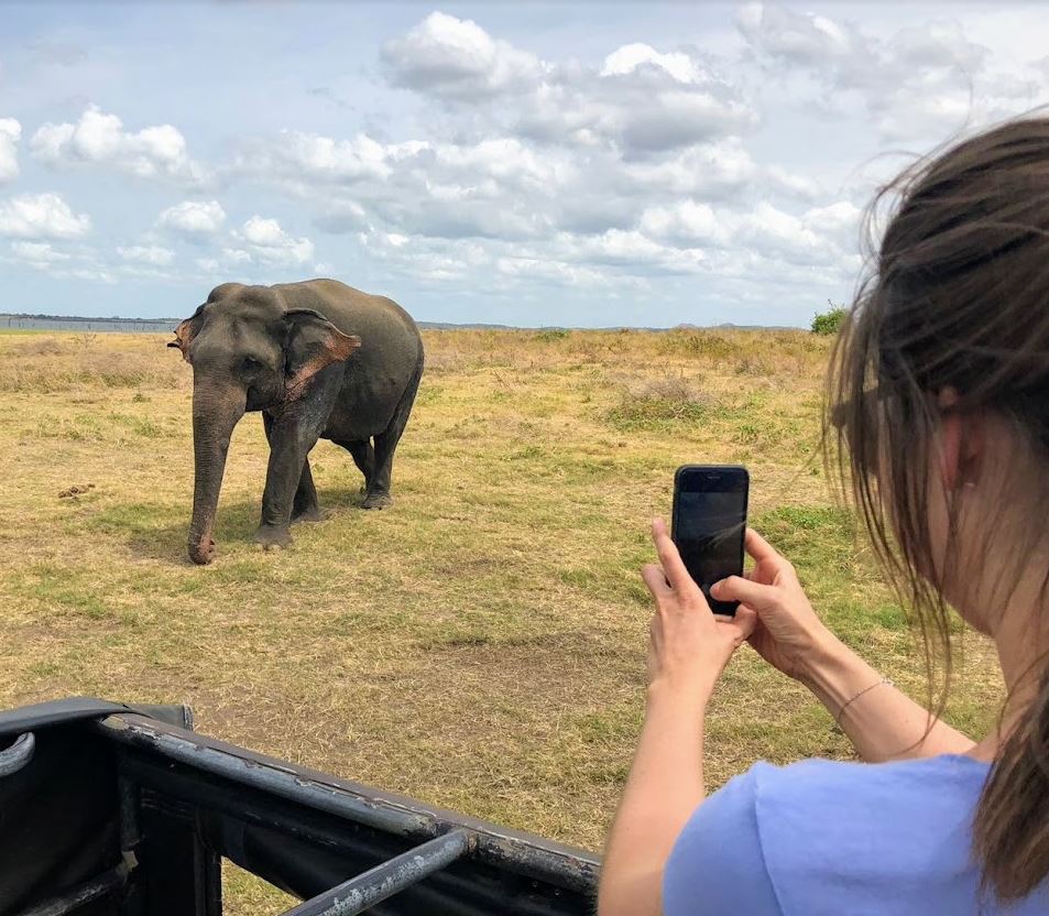 Best Time to Visit Wilpattu National Park
